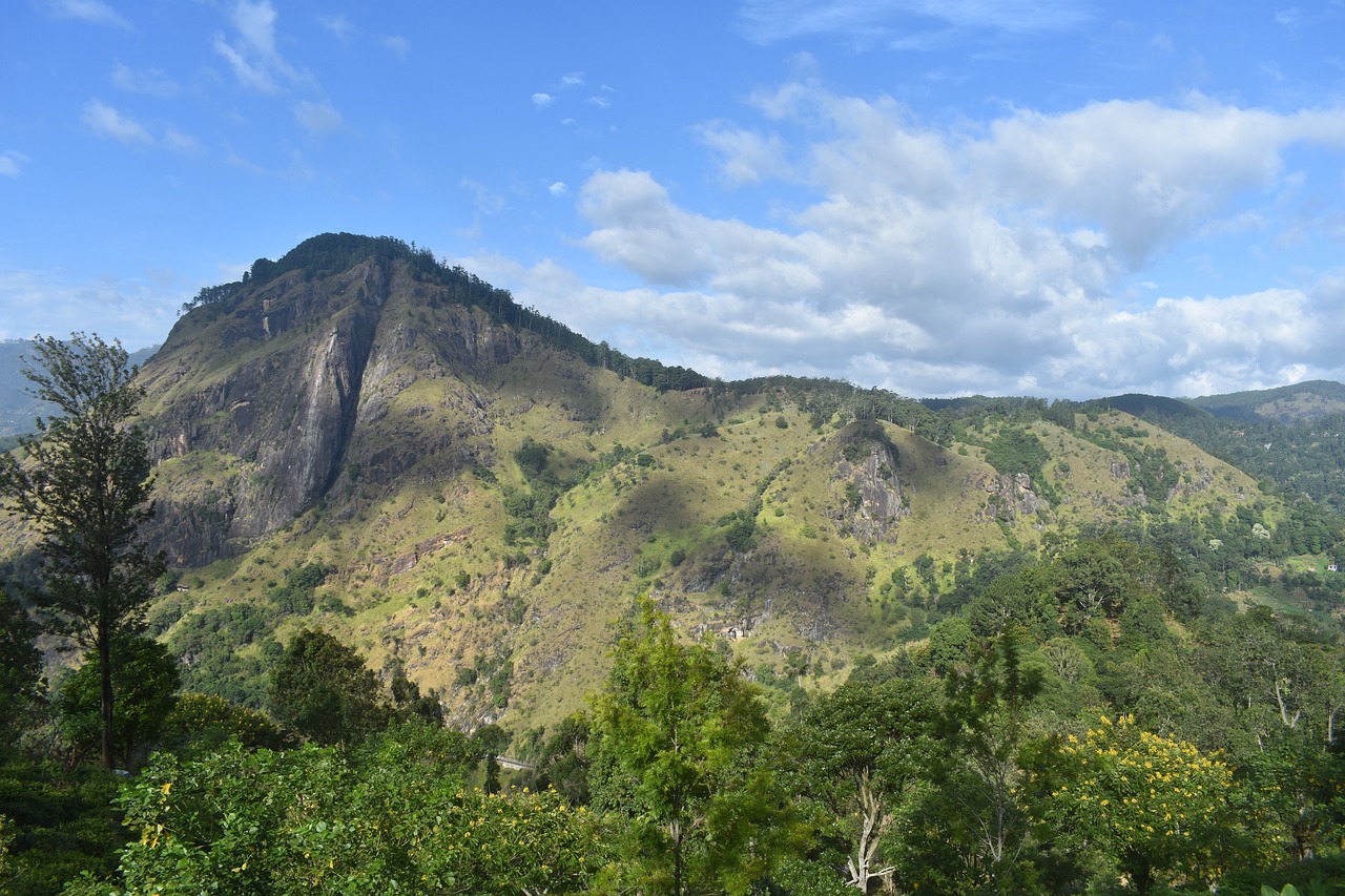 Nature and Culture in Ella: Waterfalls, National Parks, and Cooking Classes