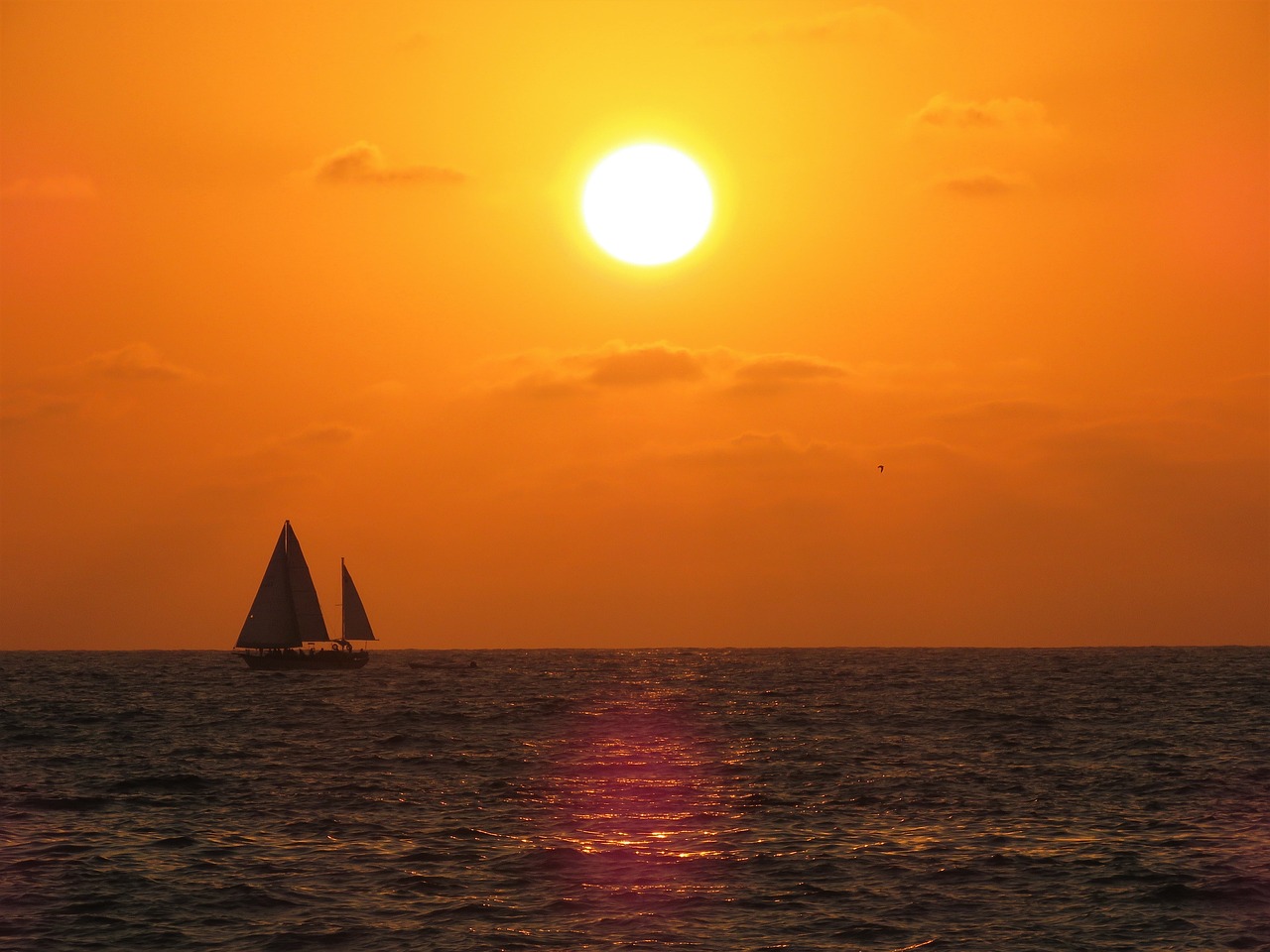 Días de Aventura en Puerto Vallarta