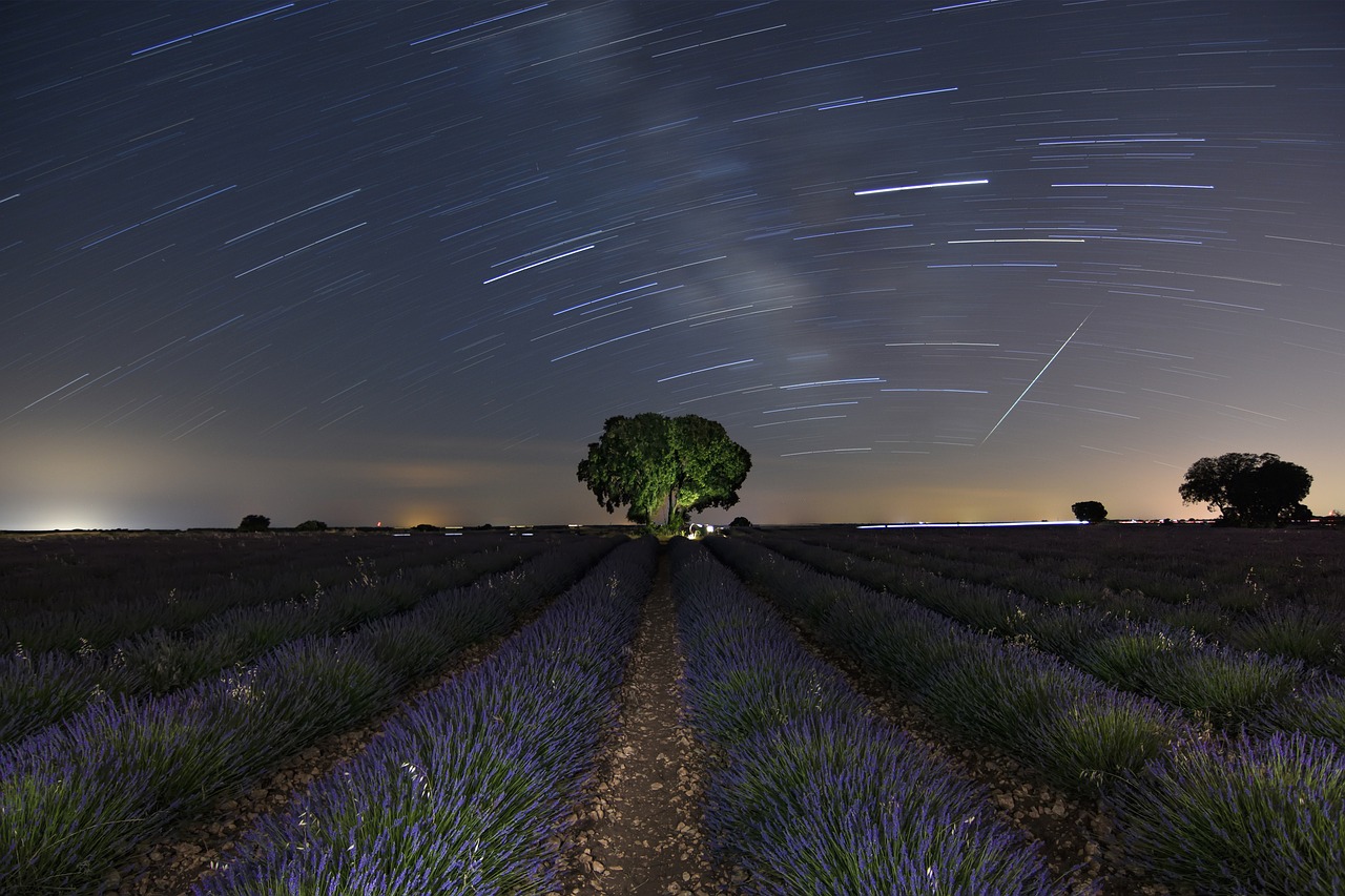 3 Days in Brihuega for the Lavender Festival