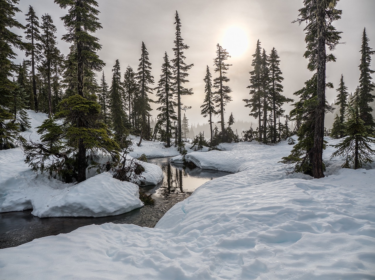 4 Days Nature and Hiking in BC