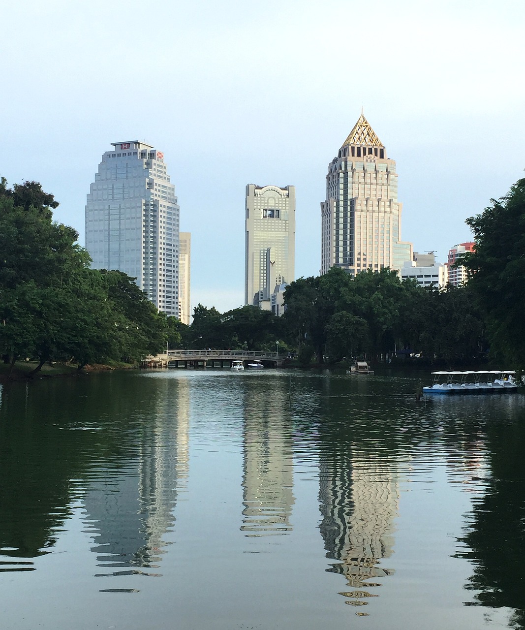 Culinary and Cultural Delights in Lumpini Park, Bangkok