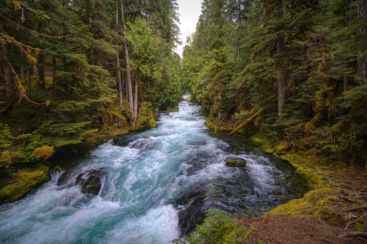 Oregon Adventure: Waterfalls, Volcanoes, and City Delights