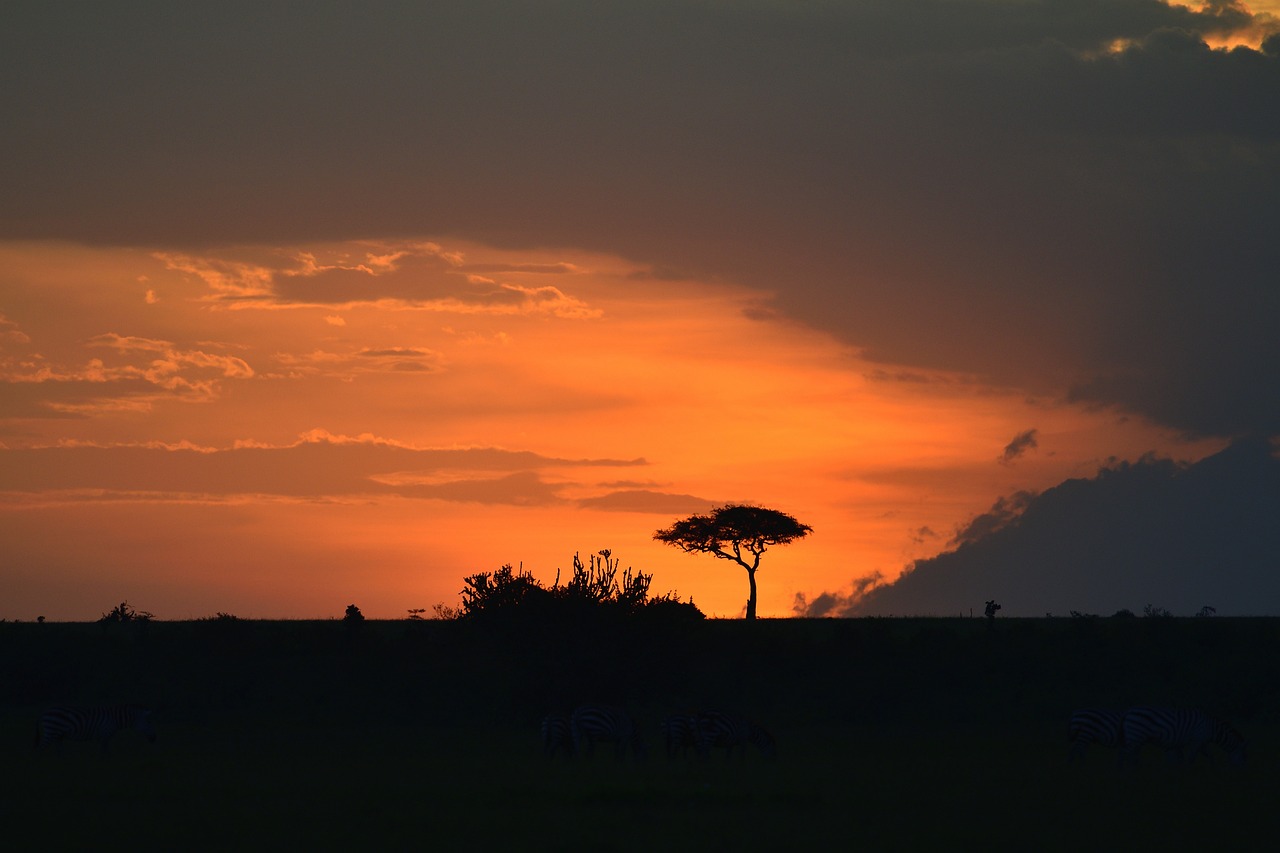 7-Day Honeymoon Adventure in Masai Mara