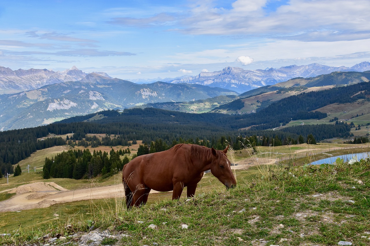 10 jours inoubliables en Haute-Savoie