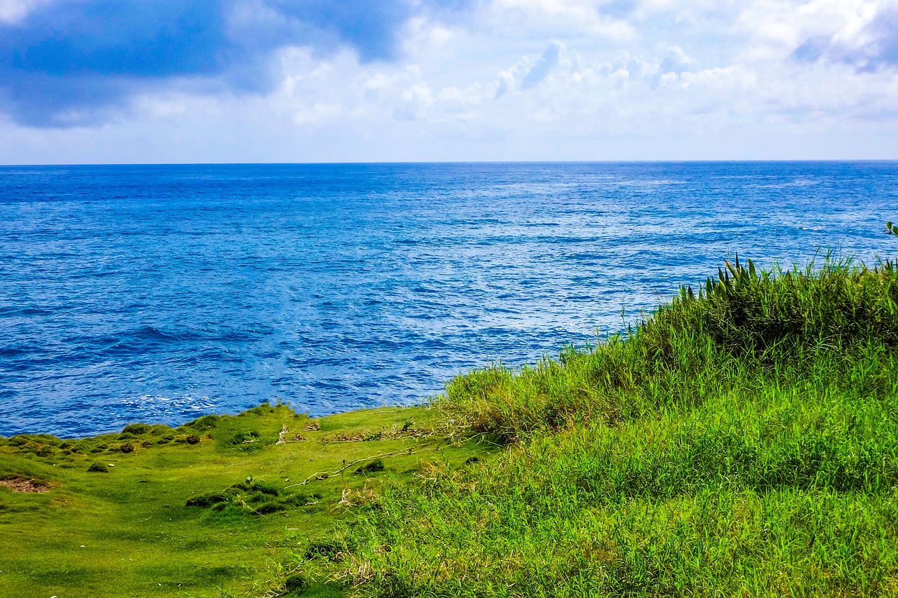 12 dias de Safari e Praia na Cidade do Cabo