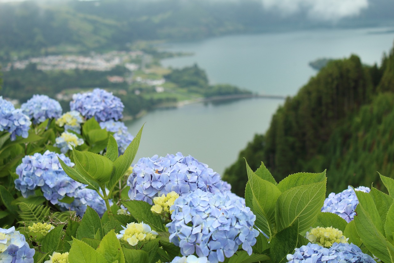 4-Day Adventure in Sete Cidades