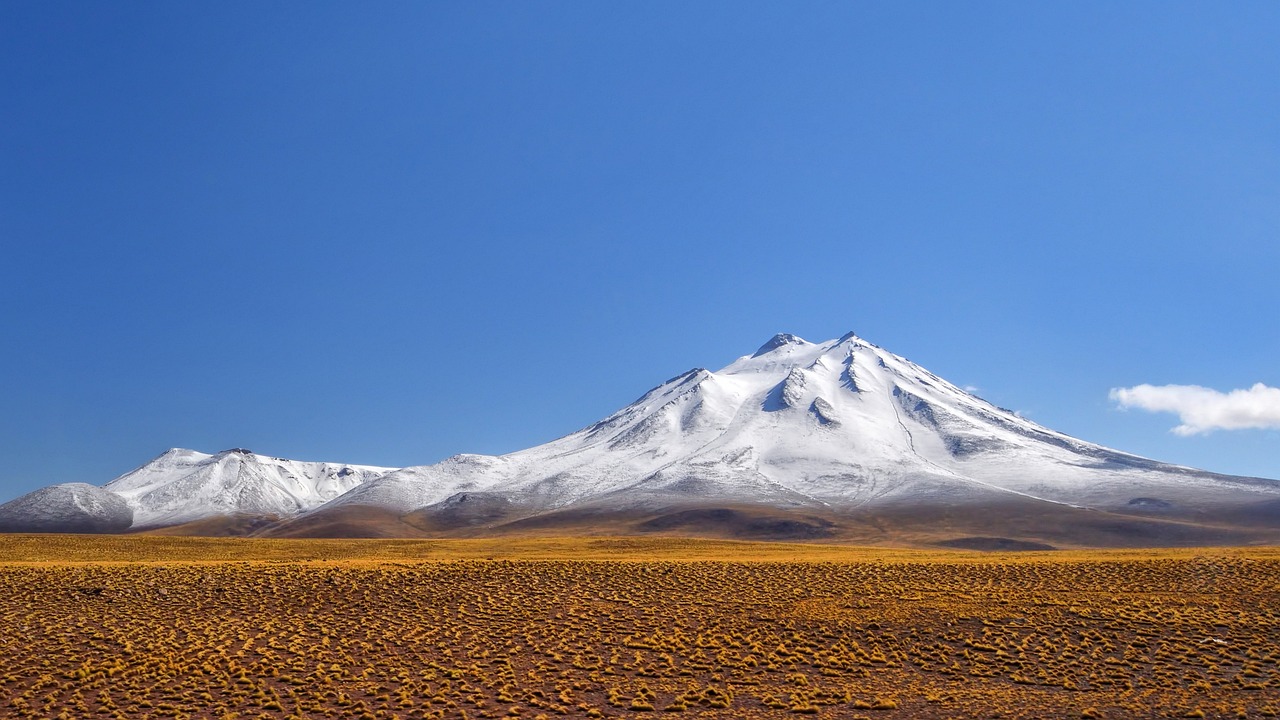 10 giorni di tour dei vini in Cile e Argentina