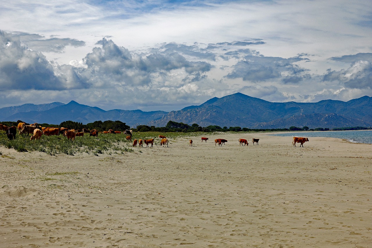 3 Tage Abenteuer in Feraxi Beach