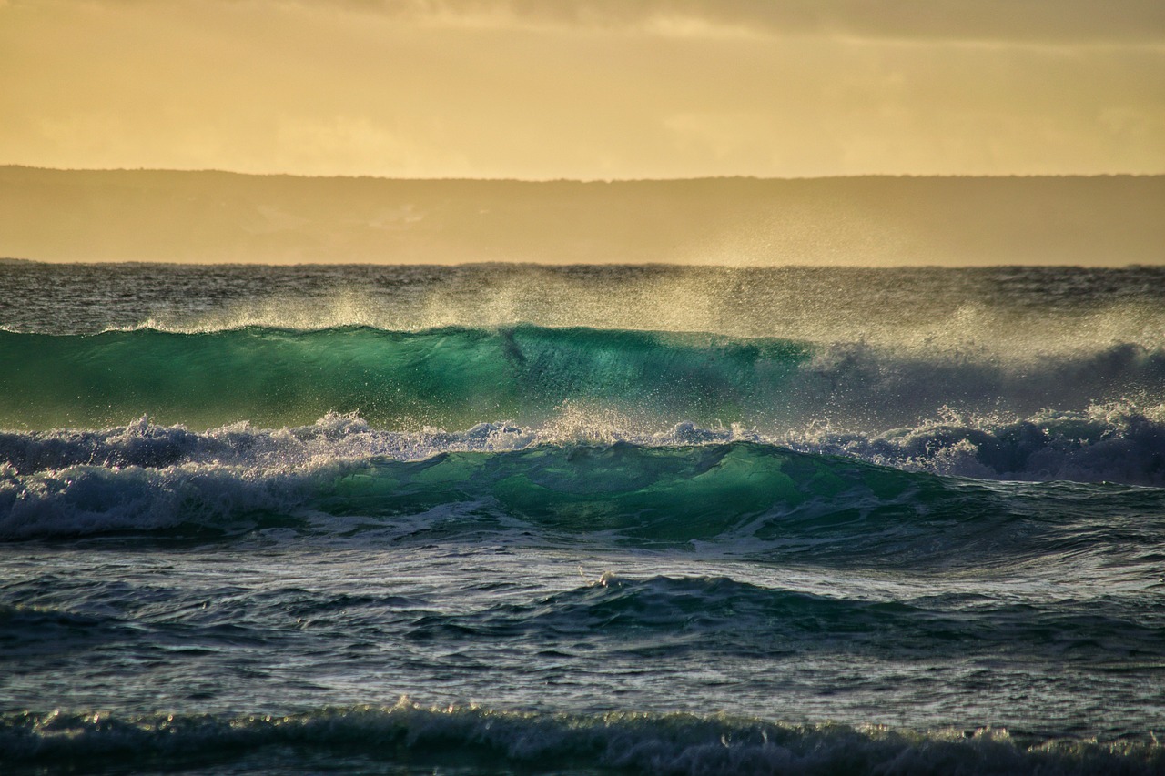 9-Day Adventure through Perth and Shark Bay