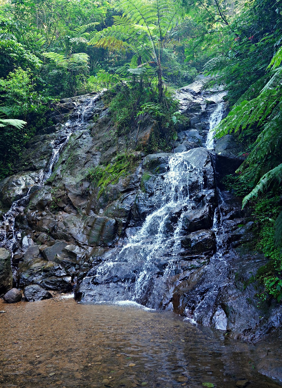 3 Days in Batu Ferringhi