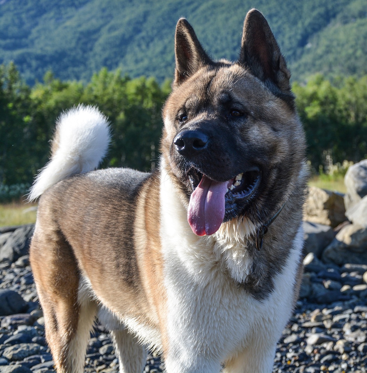 5-Day Akita Adventure