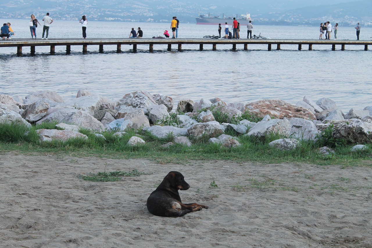 Olu Deniz Adventure: 5 Days of Thrills