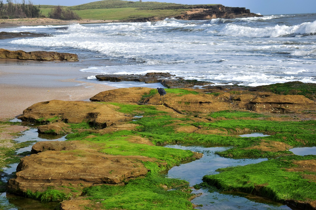 2 Days of Beach Bliss in Diu