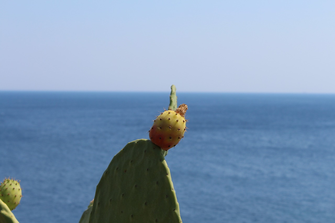 Otranto: 5 giorni di cultura e cucina