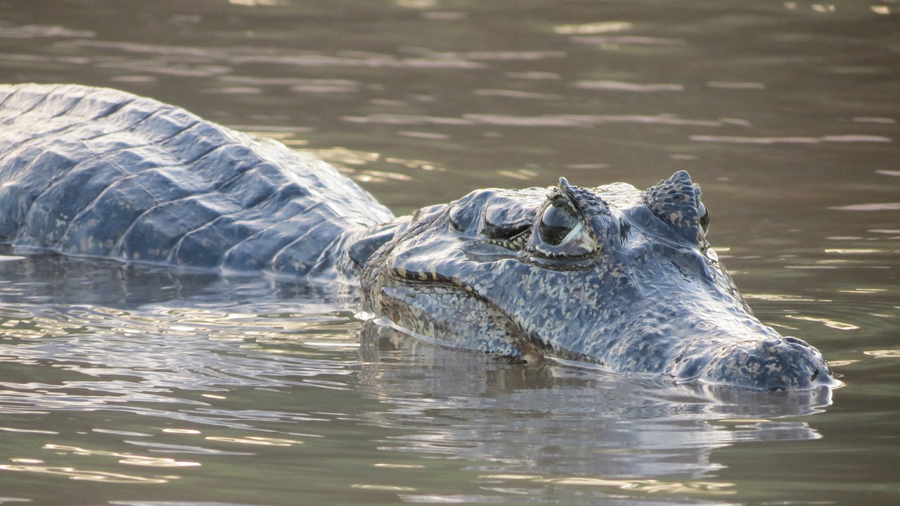 5-Day Adventure in Mato Grosso