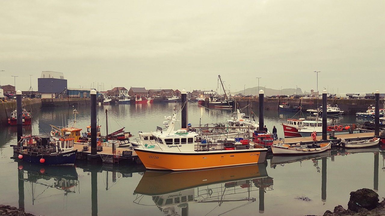 1-Day Adventure in Howth