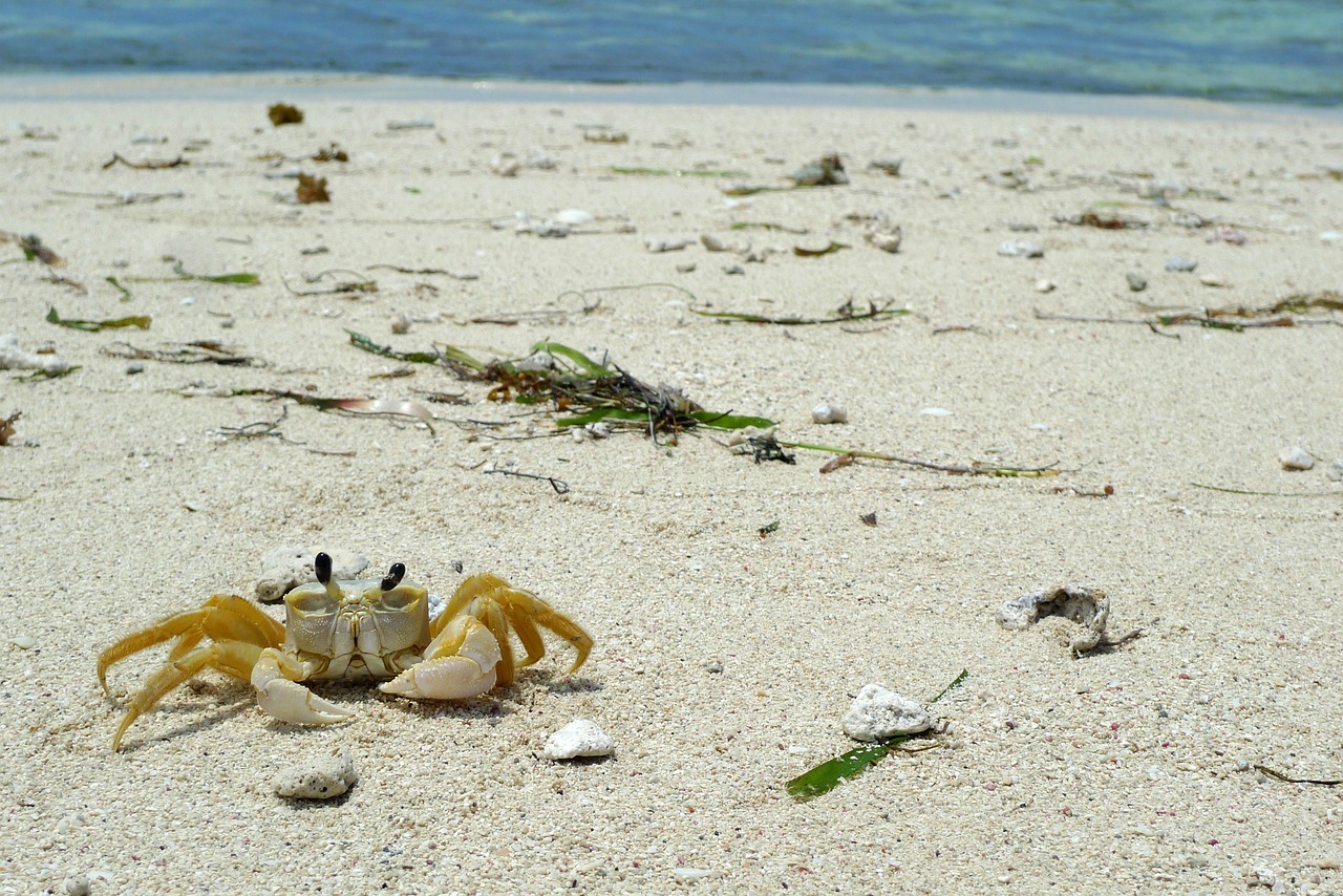 Staniel Cay Exuma Bahamas Adventure 5 Days