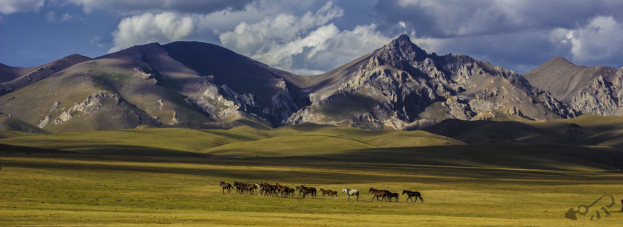 Kyrgyzstan Adventure 8 Days