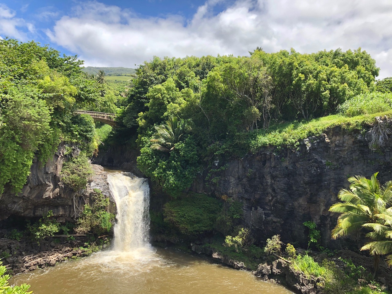 1 Day Road to Hana Adventure