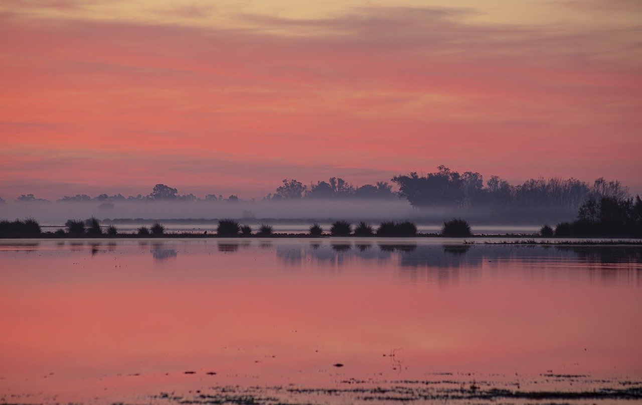 Explorando Doñana en 2 días