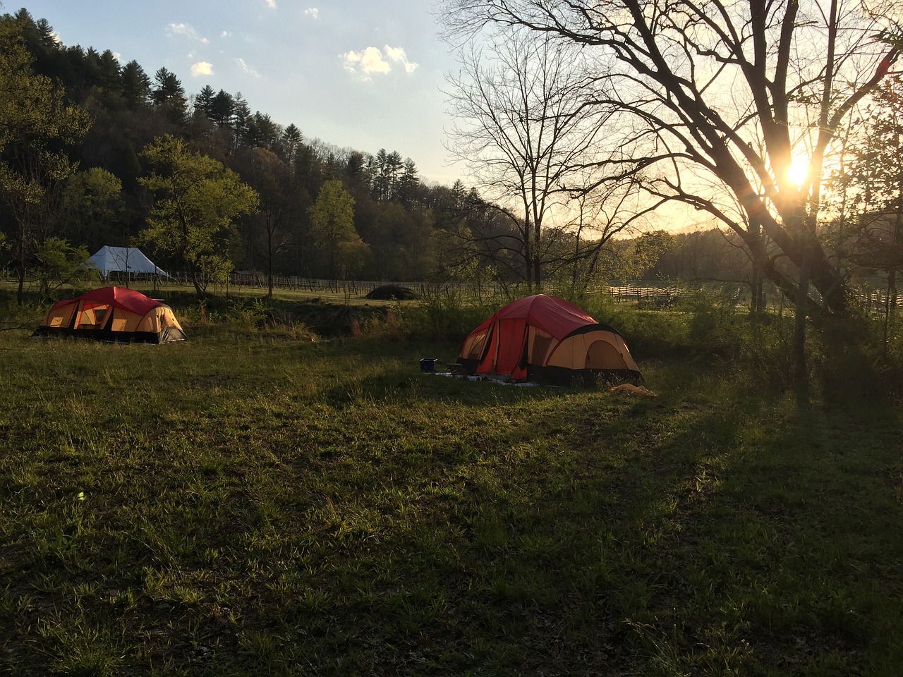 7-Day Ellijay Adventure