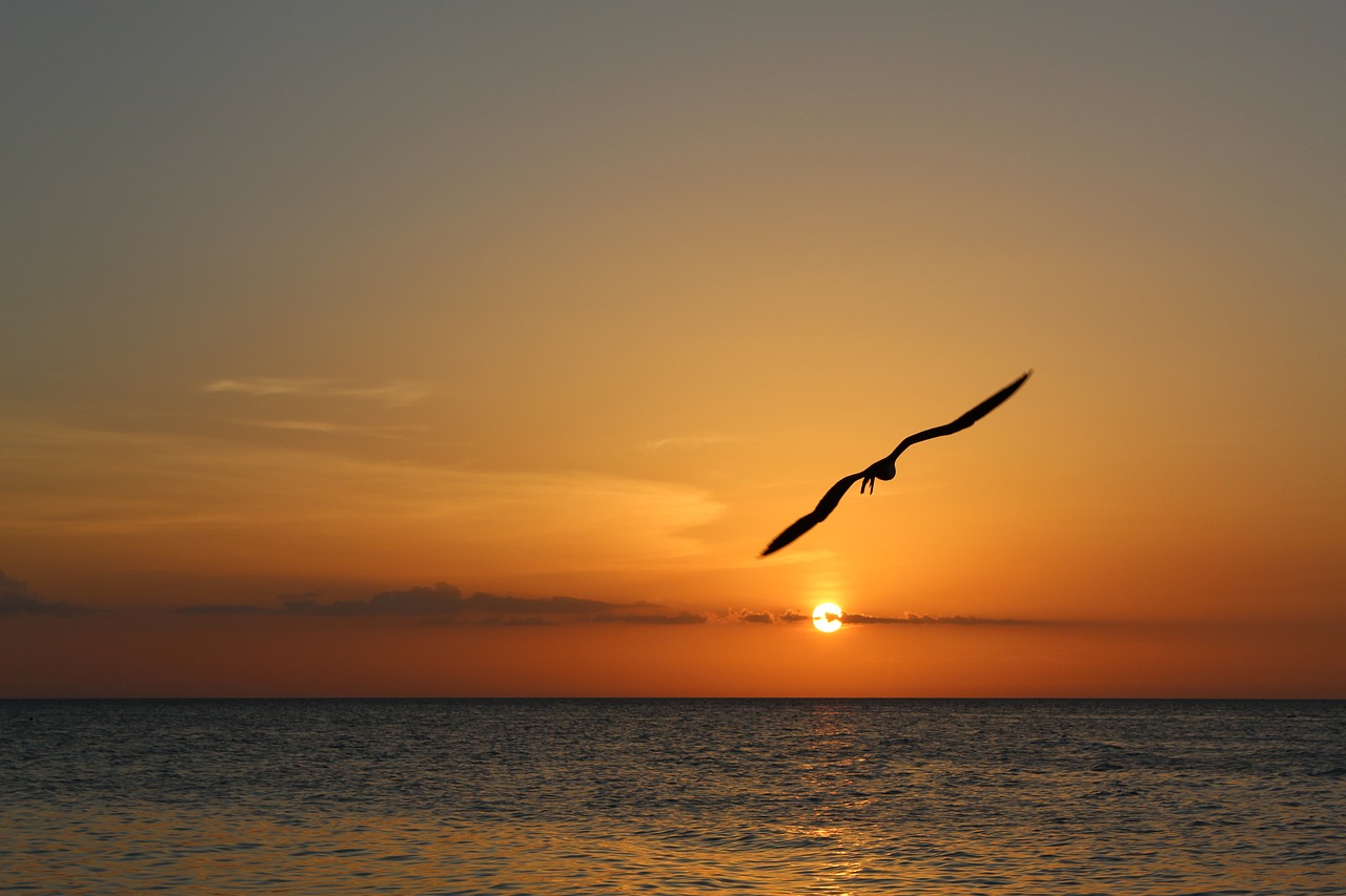 10 jours de rêve à Holbox, Tulum et Isla Mujeres