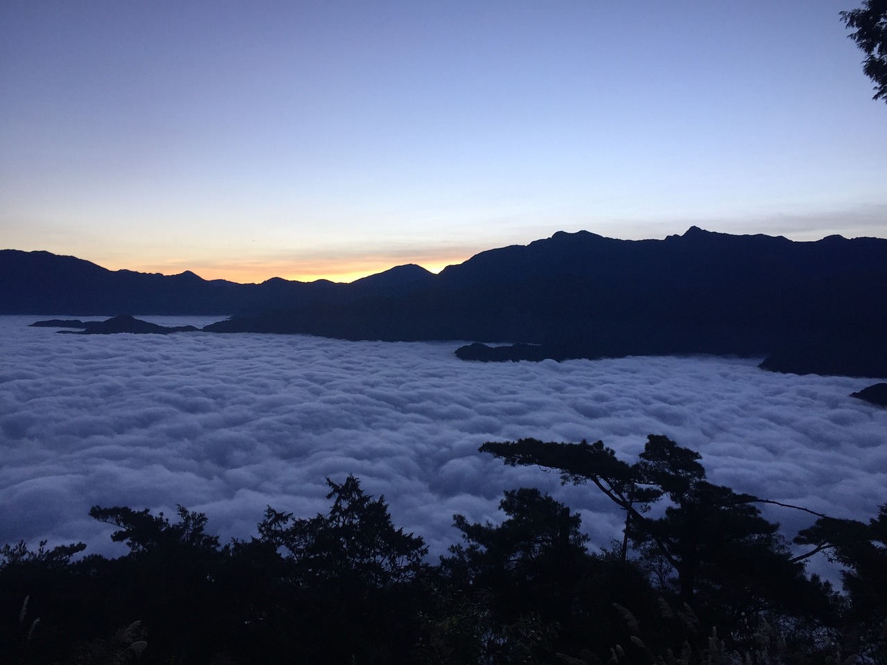 3 Days of Scenic Beauty in Alishan