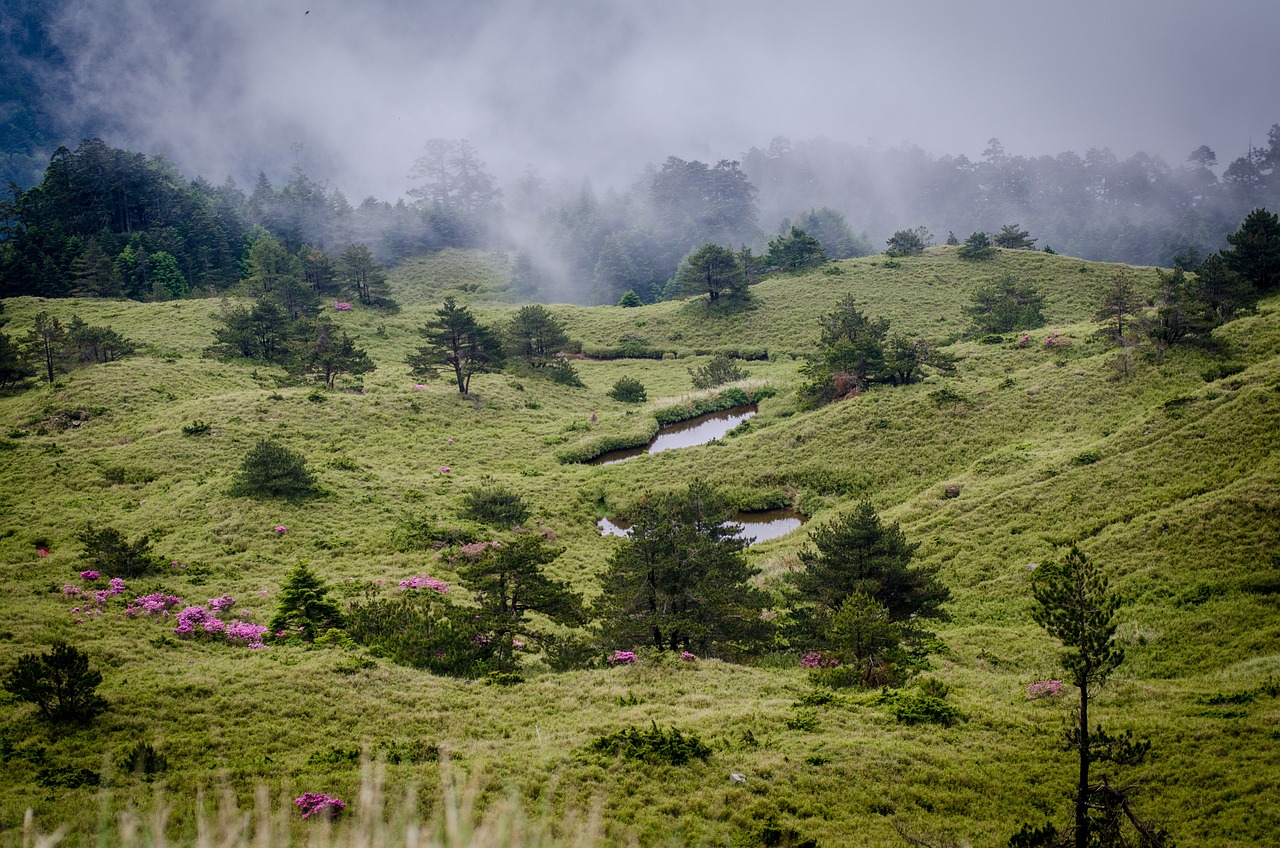 3 Days of Snow and Scenic Views in Hehuanshan