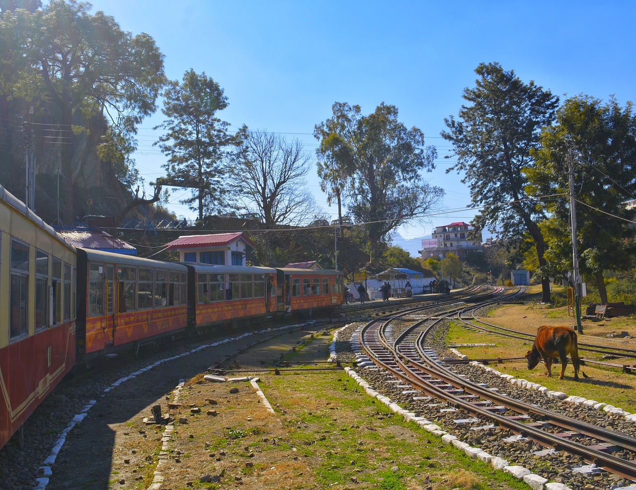 Darjeeling Adventure - 3 days