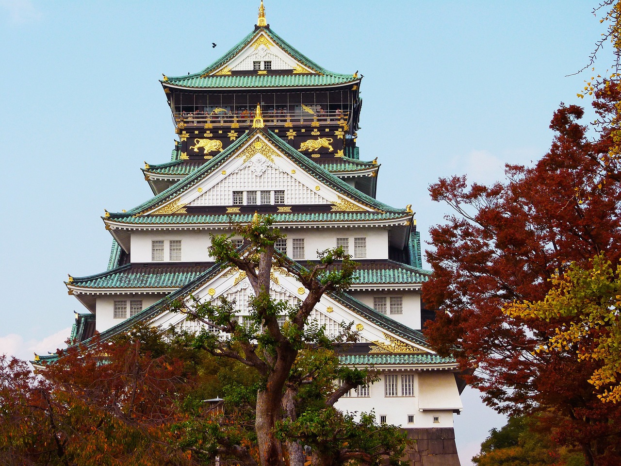 5 Days Exploring Osaka Castle Tempozan Ferris Wheel and Nara