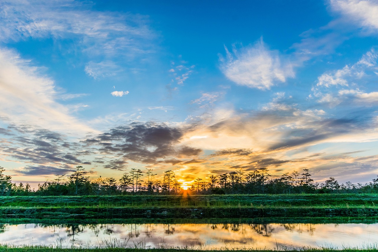 1-Day Everglades Wildlife and Nature Exploration