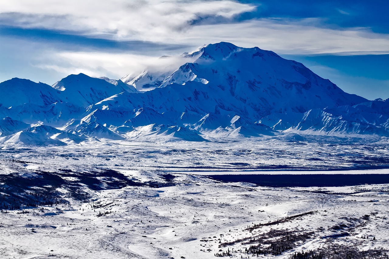 12-Day Denali National Park Adventure