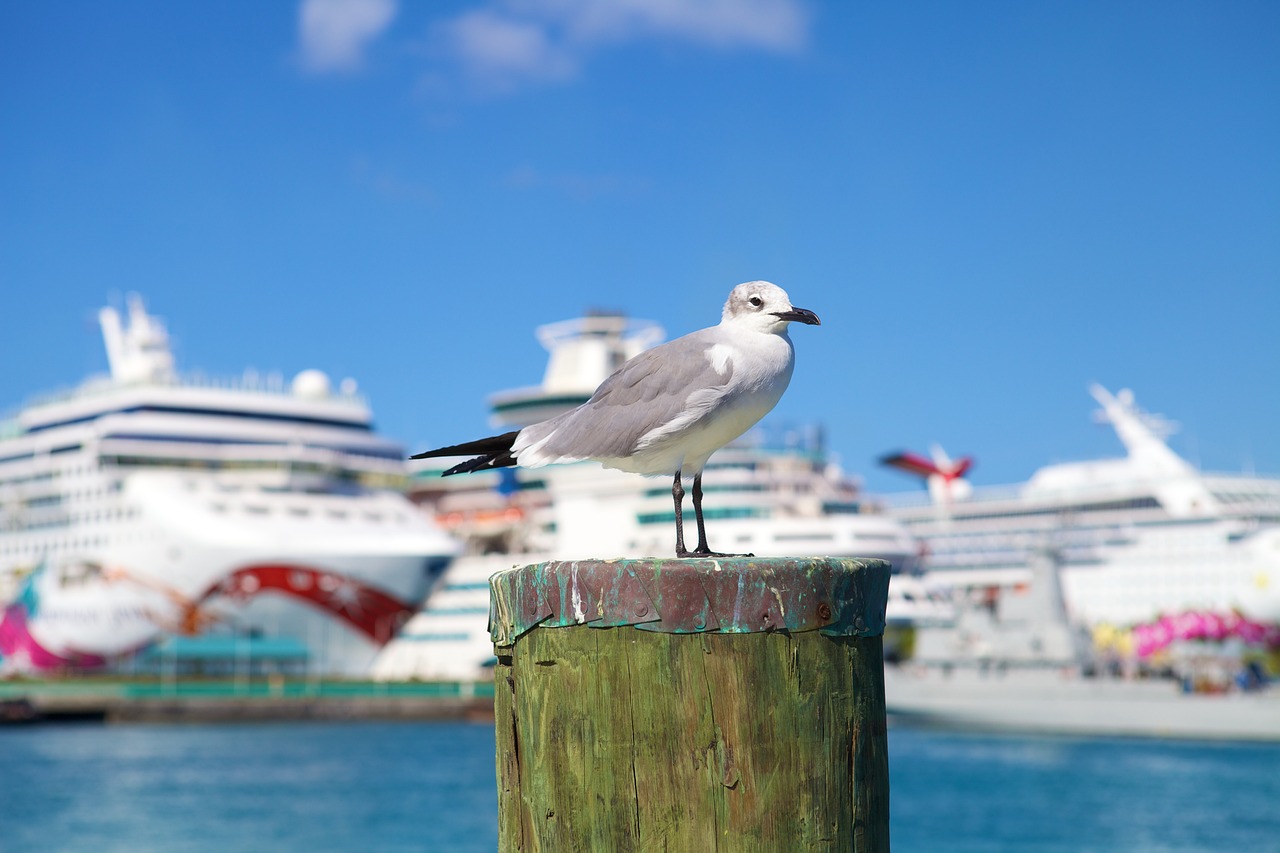 3 dias de praias e cultura em Nassau