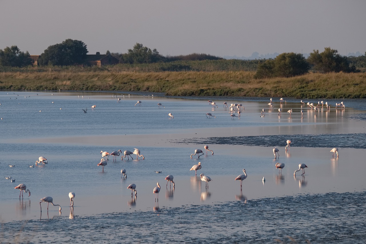 3-Day Adventure in Greater Alagoas