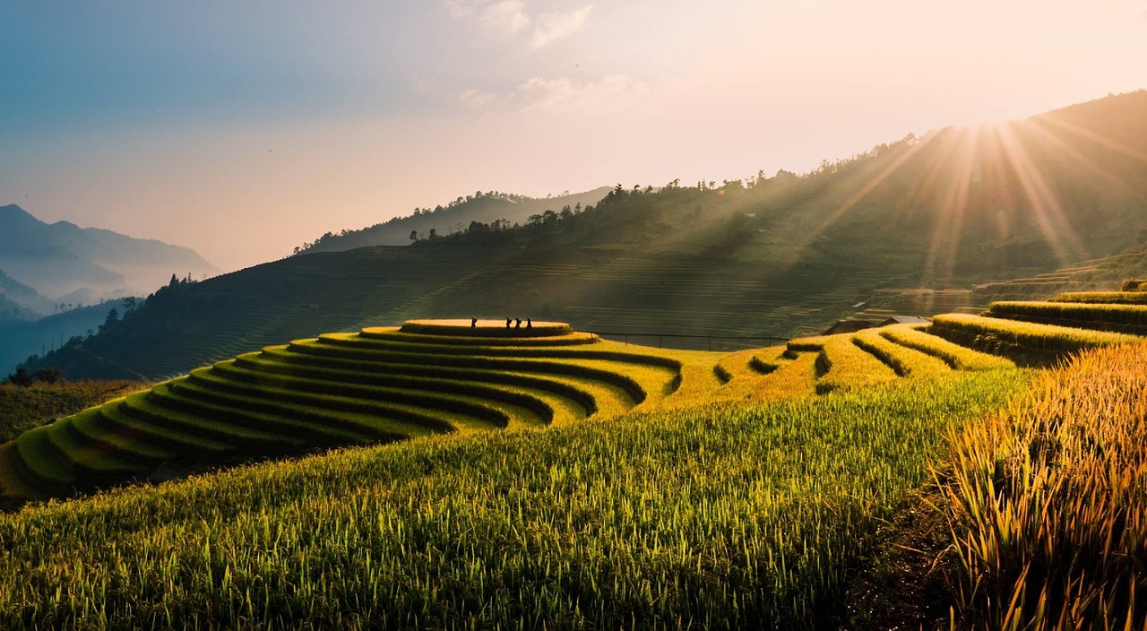 3-Day Tegallalang Rice Terraces Adventure