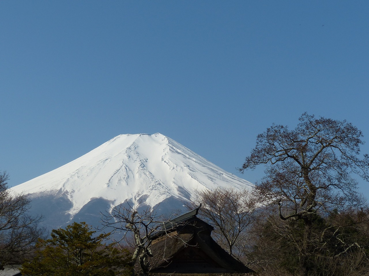 5-Day Izu Adventure and Relaxation