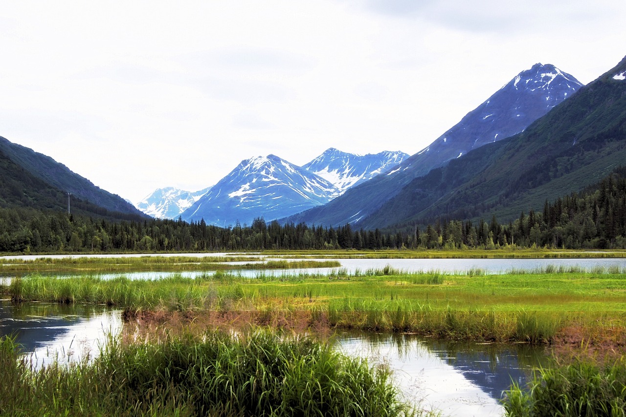 5-Day Winter Nature Exploration in Seward