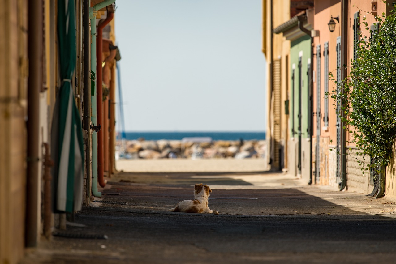 3 Dias de Baladas e Praias em Milão, Rimini e Veneza