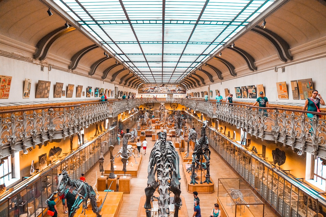 5-Day Dublin Adventure with Natural History Museum