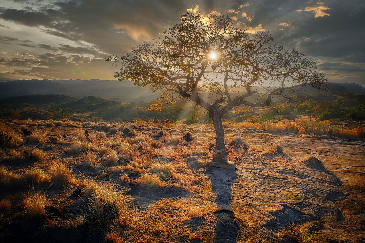 Viaggio di nozze in Zimbabwe 5 giorni