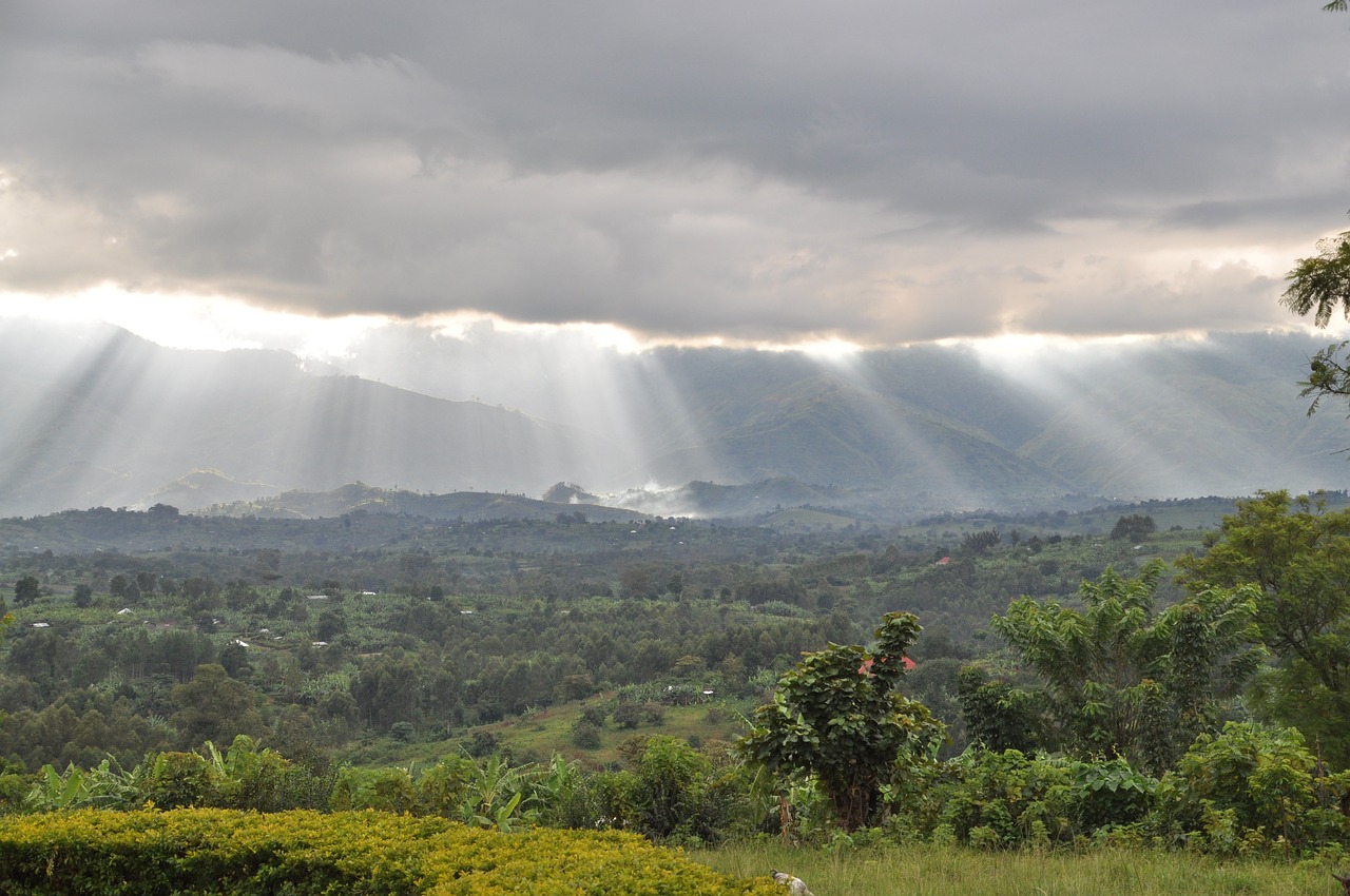 Luna de miel en DR Congo 5 días