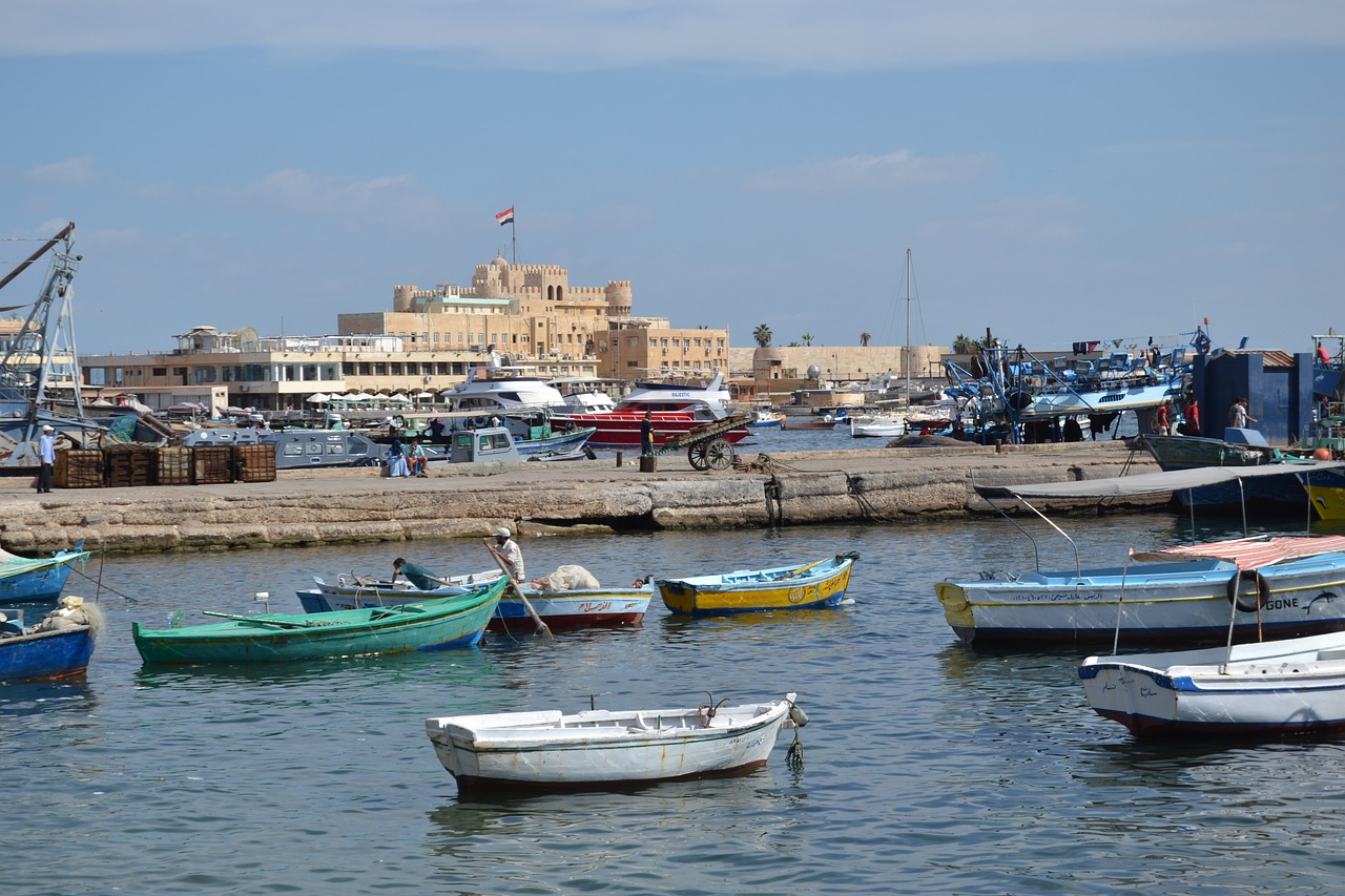 1 Day of Historical and Coastal Wonders in Alexandria