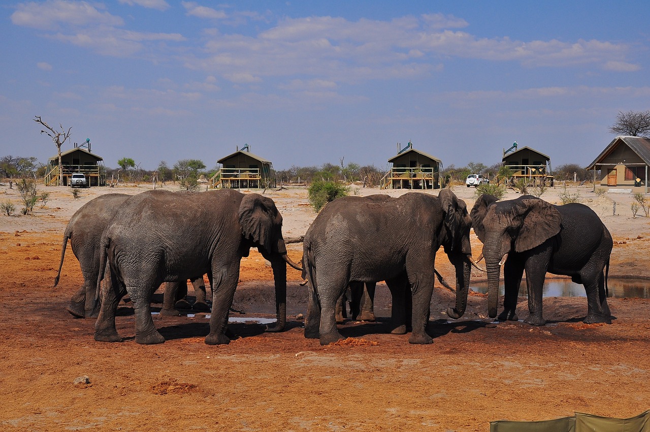 20 días explorando Sudáfrica: de Ciudad del Cabo a Johannesburgo