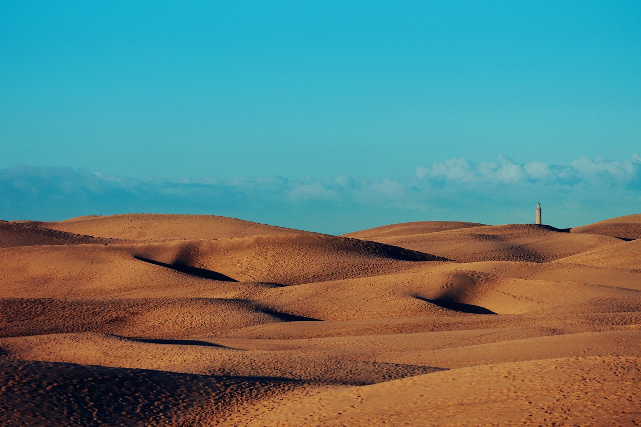 1 Day Maspalomas Adventure