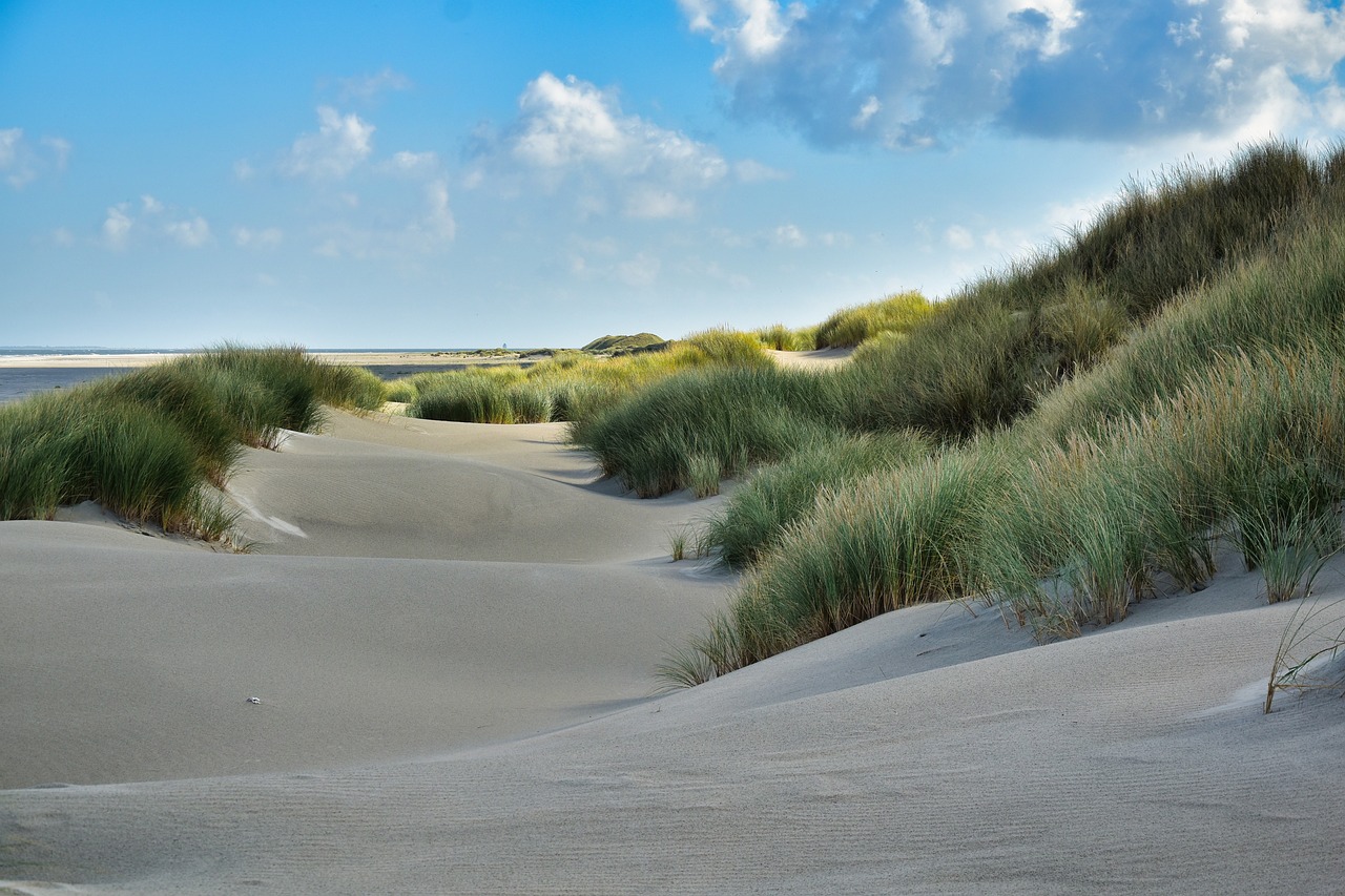 5 Tage in den Niederlanden: Lisse und Umgebung