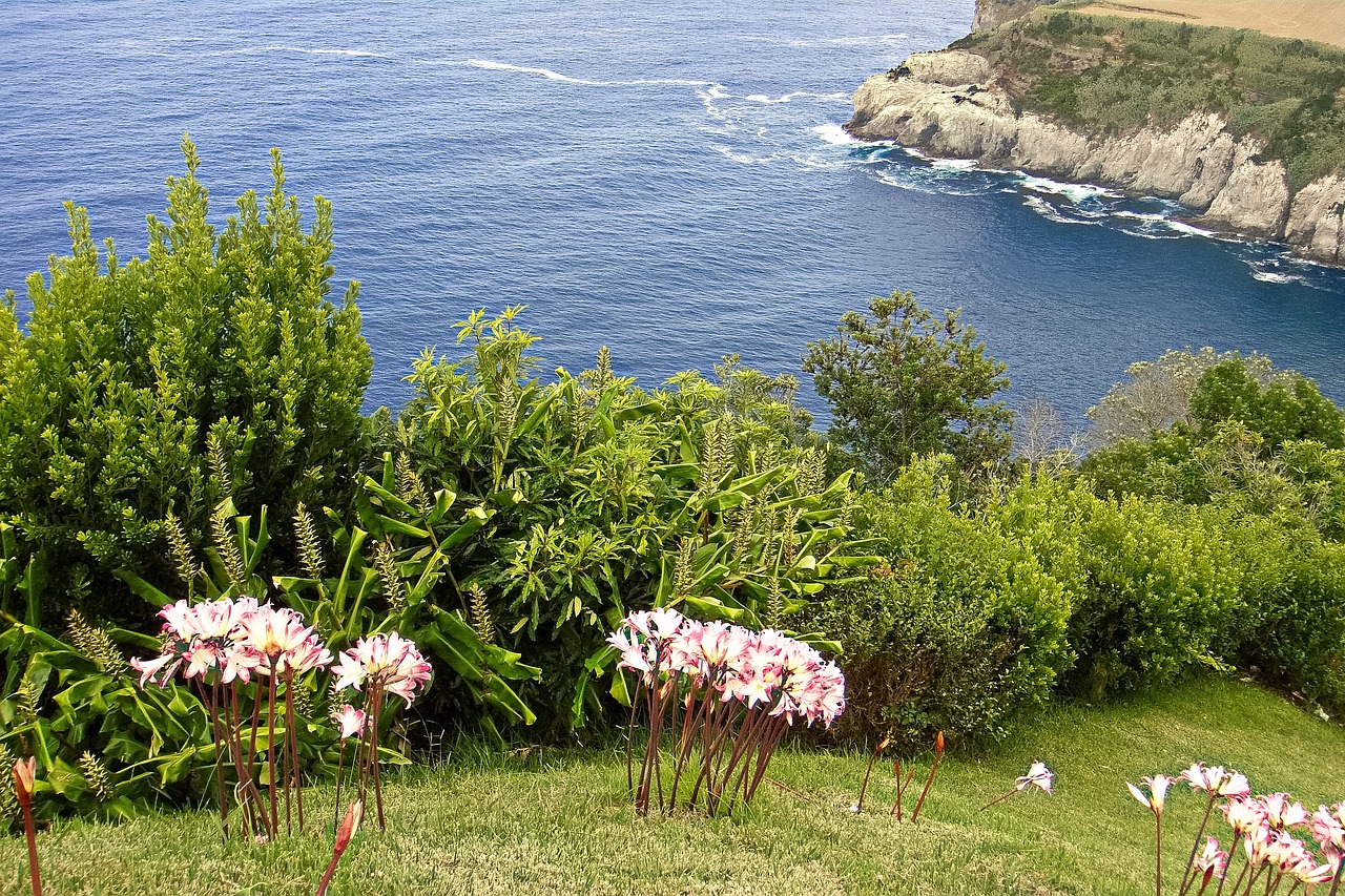 Explorando Sao Miguel Azores en 5 días