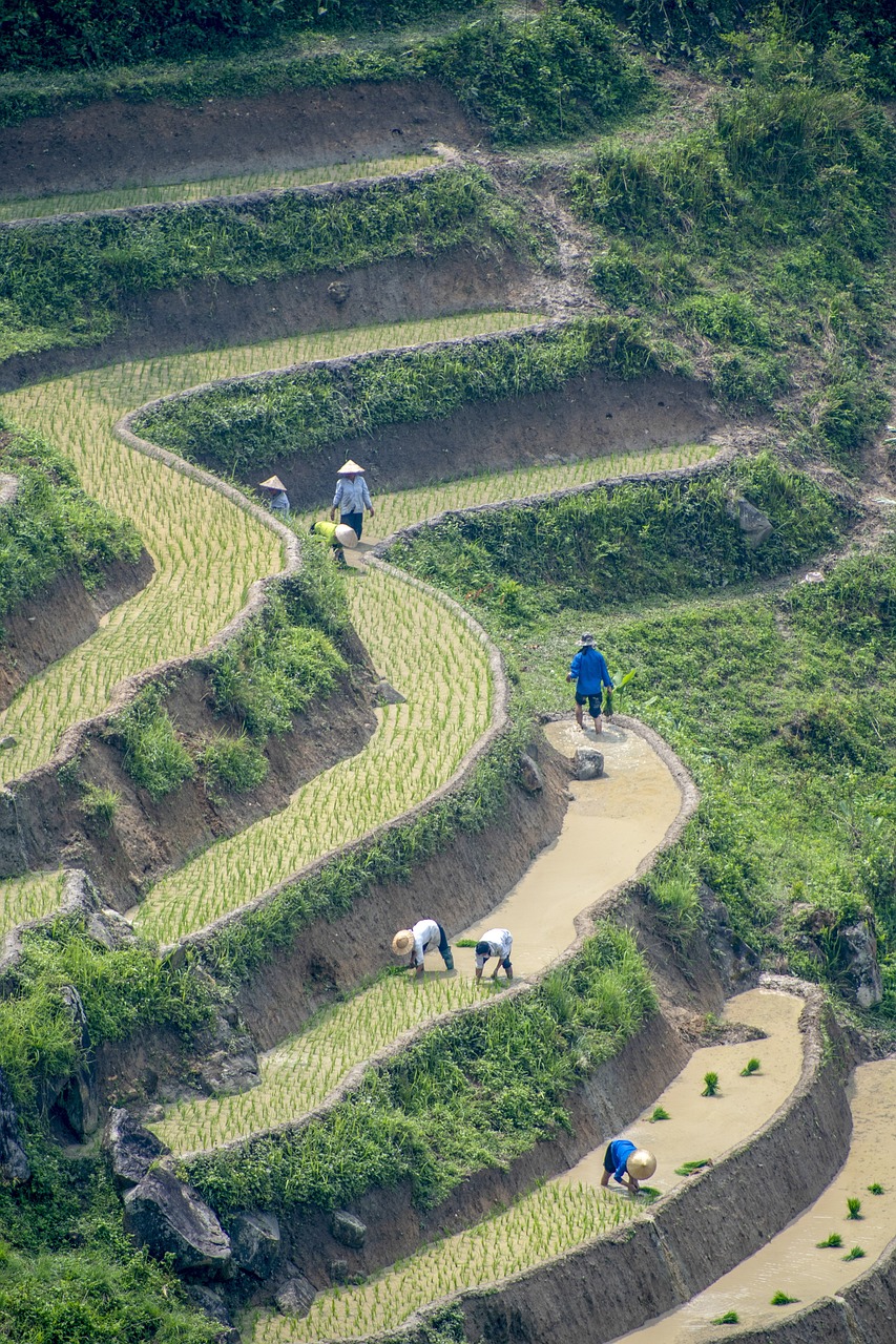 Naturaleza y Playas en Tailandia y Maldivas 15 días