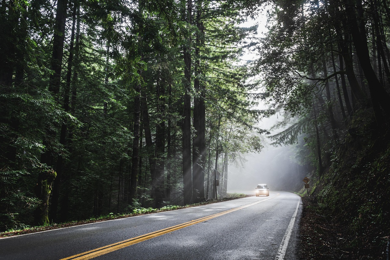 Renting a Car Abroad: The Complete Guide