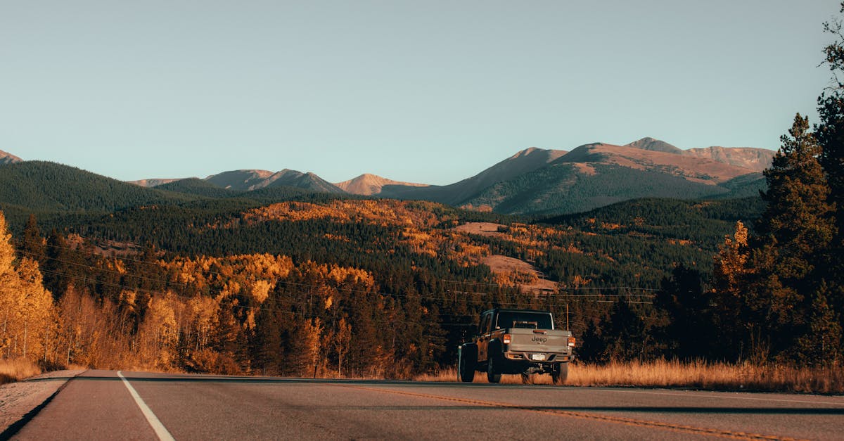 Plan about five nights for your first US road trip in 2026, which is the most common duration travel...