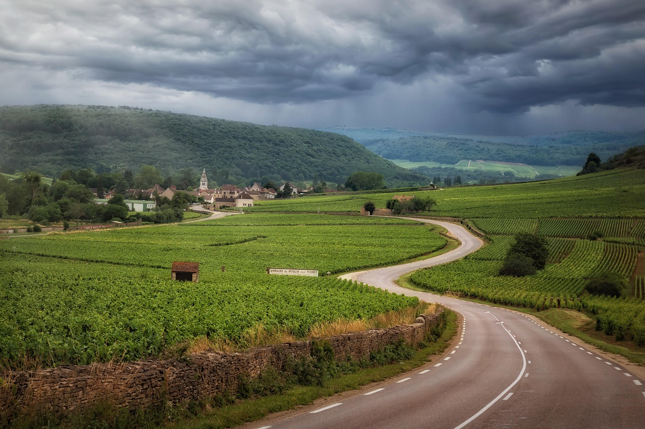 Ask Layla: plan my 5-night France trip, mid-range budget, with a realistic budget and confirmed-sour...